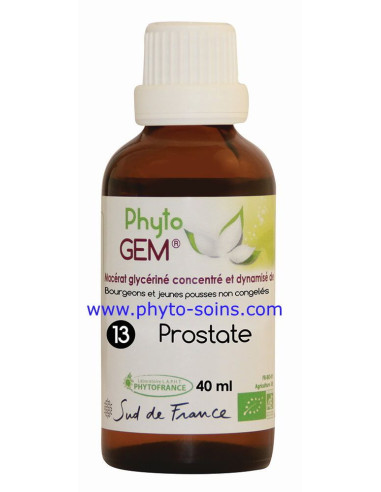 Phyto'gem 13 prostate phytofrance | phyto-soins