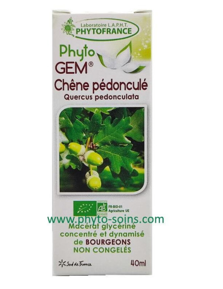 Macérat glycériné concentré de Chêne BIO - Phytofrance