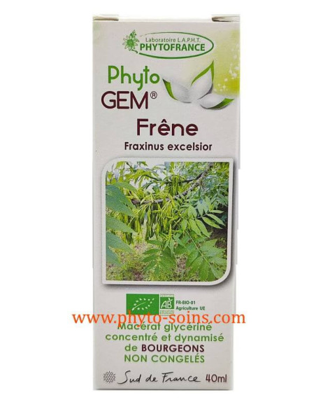 Phyto'gem concentré de Frêne