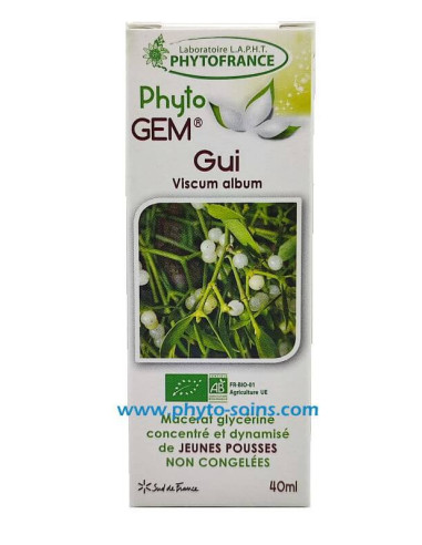 Gui du pommier contre le cancer