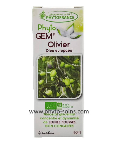 Bourgeons d'olivier BIO