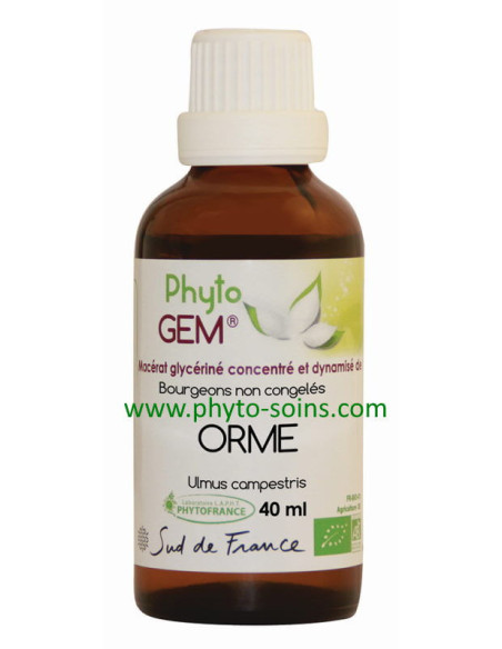 Orme: macérat de bourgeon