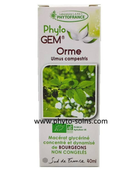 Macérat glycériné de bourgeons d'Orme