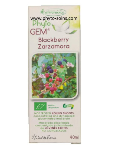 Macérat glycériné concentré de Ronce BIO -...