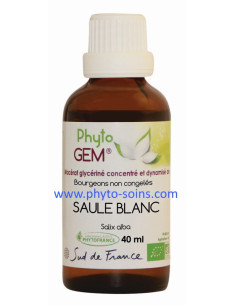 Macérat glycériné concentré de Saule blanc BIO - Phytofrance