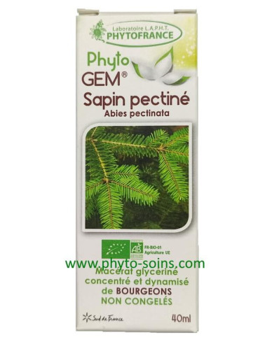 Macérat glycériné de Sapin pectiné