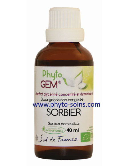 Macérat glycériné de Sorbier