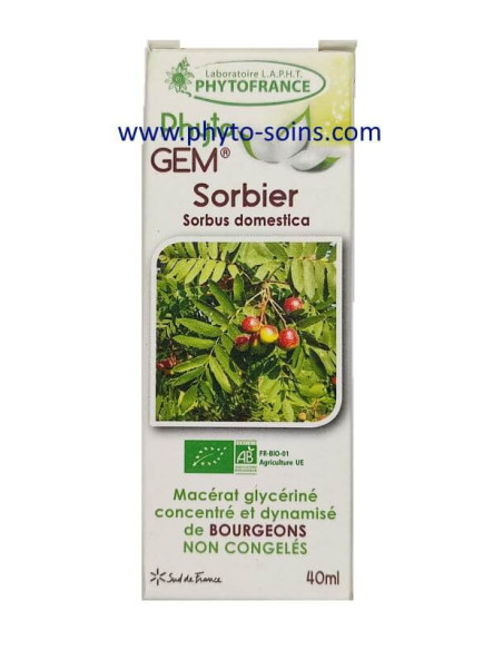 Bourgeons de Sorbier BIO