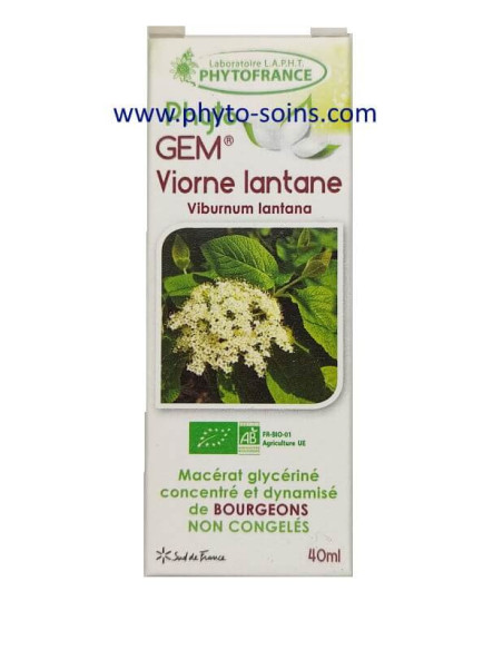Bourgeons de Viorne Lantane BIO