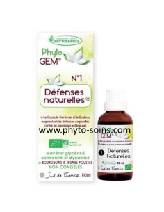 Phyto'gem BIO 1 défenses naturelles arbre respiratoire