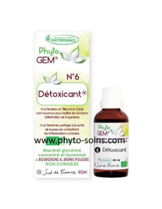 Phyto'gem 6 détoxicant BIO phytofrance