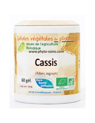 Boite de 60 gélules de Cassis BIO (Ribes nigrum) 240mg phytofrance par phyto-soins