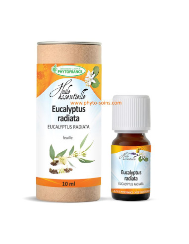 Huile essentielle d'Eucalyptus Radiata ou officinale BIO, pure et naturelle phytofrance par phyto-soins