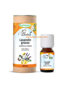 Huile essentielle de Lavandin clone grosso BIO, pure et naturelle phytofrance par phyto-soins