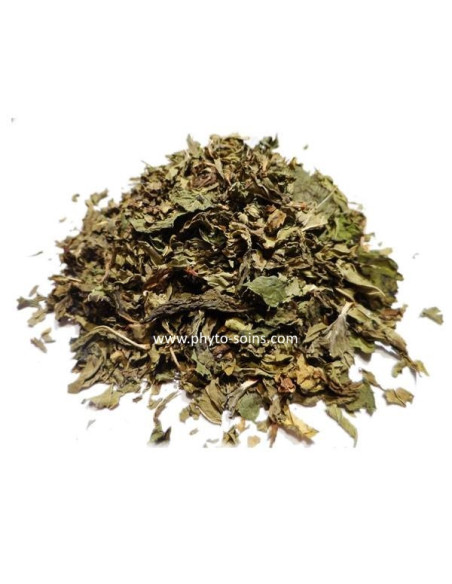 Sachet de Menthe Nahnah (douce) BIO 30g phytofrance par phyto-soins