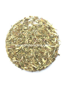 Sachet de Reine des prés BIO (Spirea ulmaria) 100g pour tisane phytofrance par phyto-soins