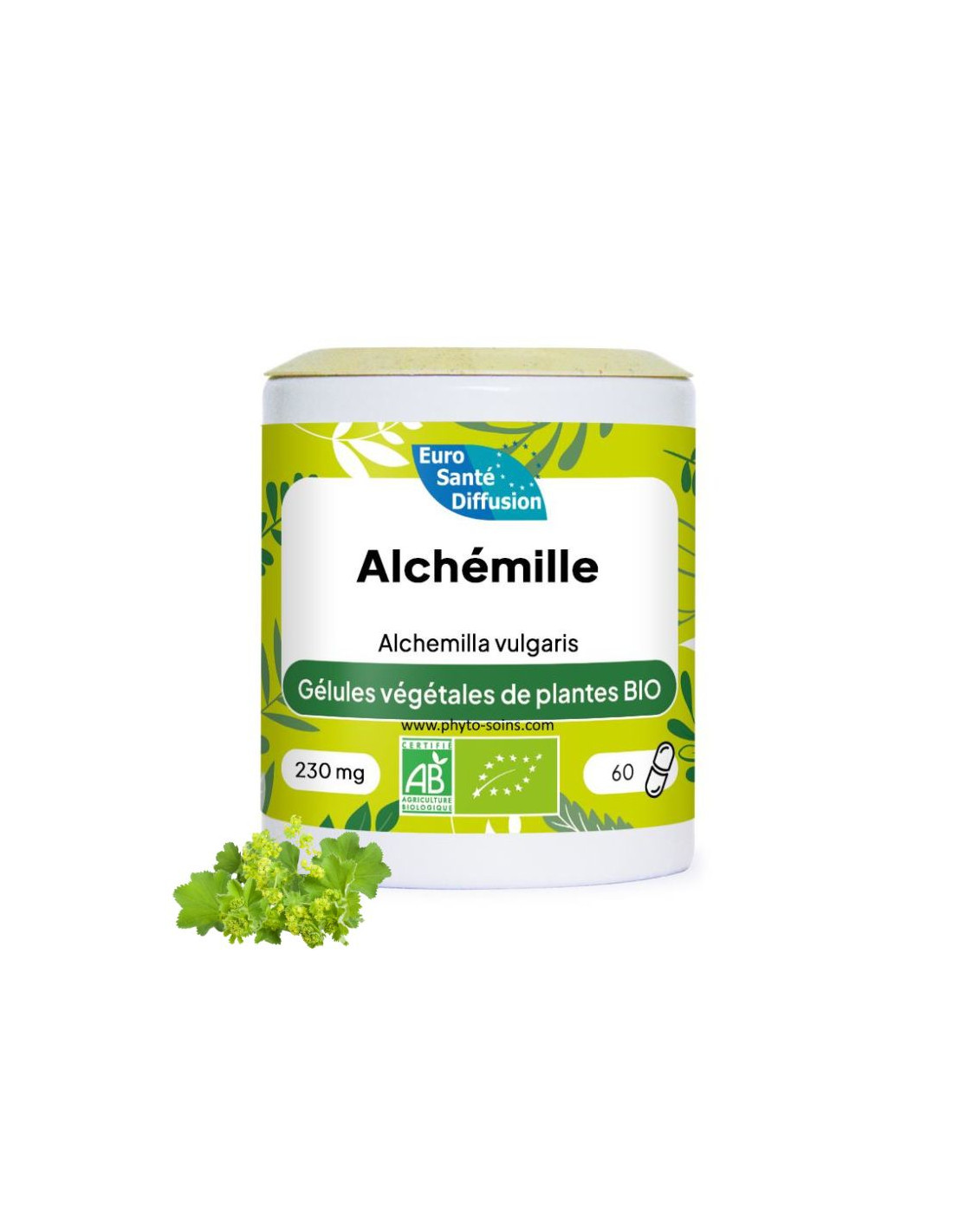 Boite de 60 ou 250 Gélules d'Alchémille BIO (Alchémilla vulgaris) 230mg - Phytofrance