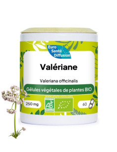 Boite de 60 ou 250 gélules de Valériane (Valeriana officinalis) BIO 250mg phytofrance