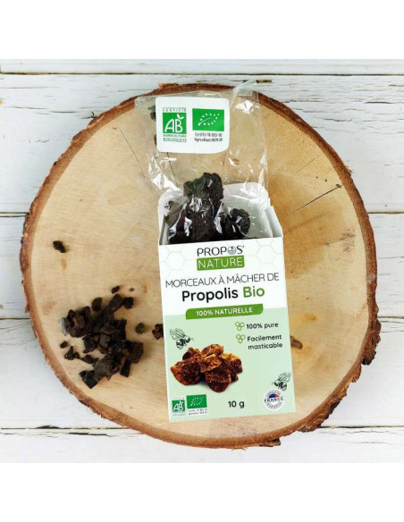 Morceaux de Propolis Pure à Mâcher Bio - Propos-nature par phyto-soins