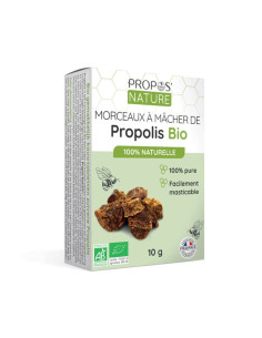 Morceaux de Propolis Pure à Mâcher Bio - Propos-nature par phyto-soins