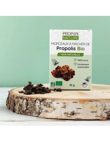 Morceaux de Propolis Pure à Mâcher Bio - Propos-nature par phyto-soins