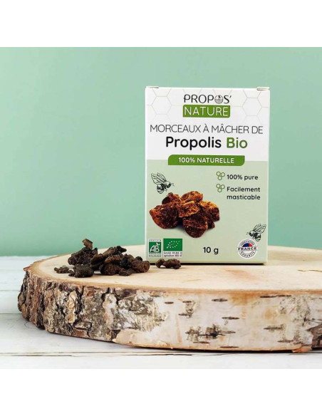 Morceaux de Propolis Pure à Mâcher Bio - Propos-nature par phyto-soins