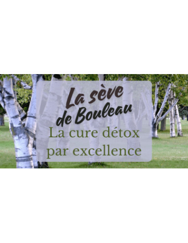 Sève de bouleau BIO des Pyrenees - Phytofrance