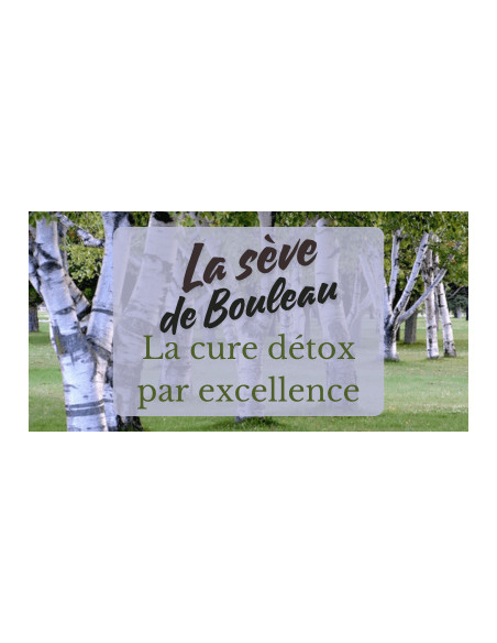 Sève de bouleau BIO des Pyrenees - Phytofrance