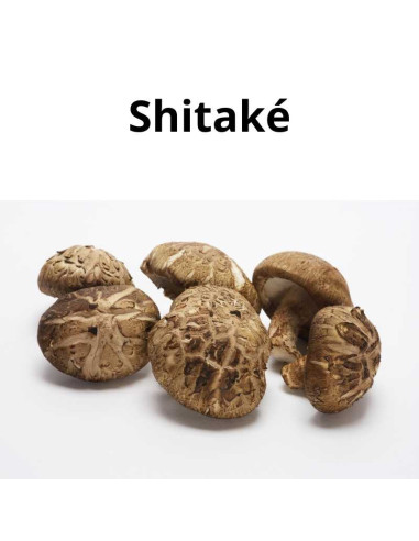 Nutri-Complexe: Immuno-stimul - Phytofrance