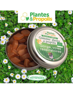 Gomme de plantes et Propolis (gorge et voies respiratoires) BIO - Phytofrance