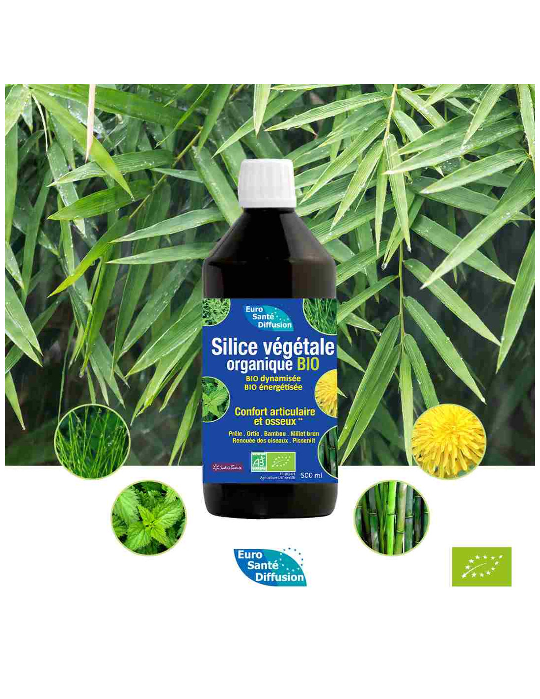 Silice Végétale Organique BIO - Phytofrance