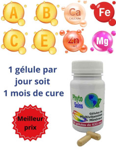 30 Gélules multi- vitamines et minéraux (1 mois) - Phyto-soins