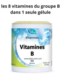 Gélules vitamine du groupe B - Phytofrance