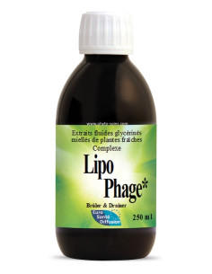 Lipophage minceur et assimilation des graisses - Phytofrance