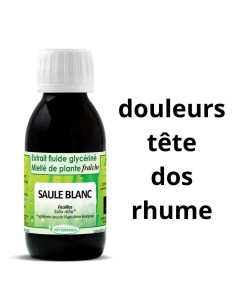 Extrait fluide glycériné de Saule blanc frais et BIO