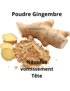 Poudre de Gingembre (Zingiber officinalis) BIO ou tradi - Phytofrance