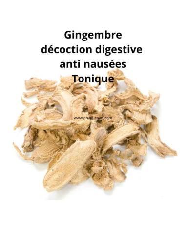 Racine de Gingembre coupée (Zingiber officinalis) BIO ou tradi - Phytofrance