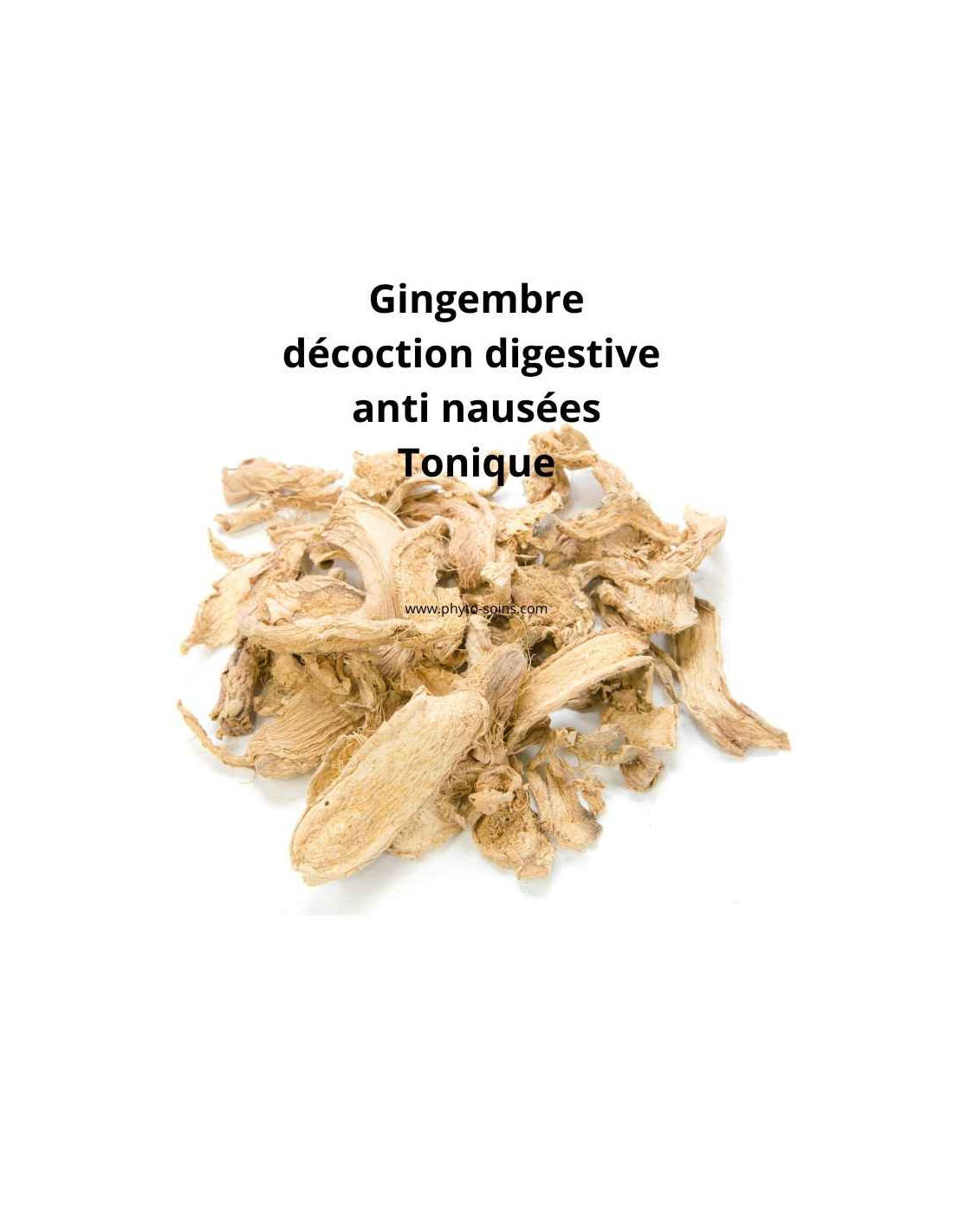 Racine de Gingembre coupée (Zingiber officinalis) BIO ou tradi - Phytofrance