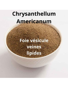 Poudre de Chrysanthellum Americanum (partie aérienne) - Phytofrance