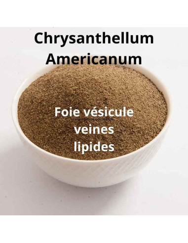 Poudre de Chrysanthellum Americanum (partie aérienne) - Phytofrance