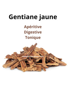 Tisane de Gentiane BIO (racine coupée) - 100g - Phytofrance