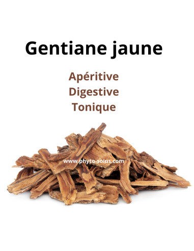Tisane de Gentiane BIO (racine coupée) - 100g - Phytofrance