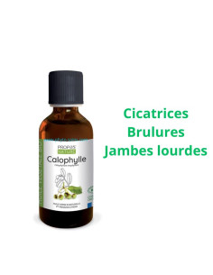 Huile Végétale de Calophylle (Tamanu) BIO cosmos organic - 50ml - Propos nature