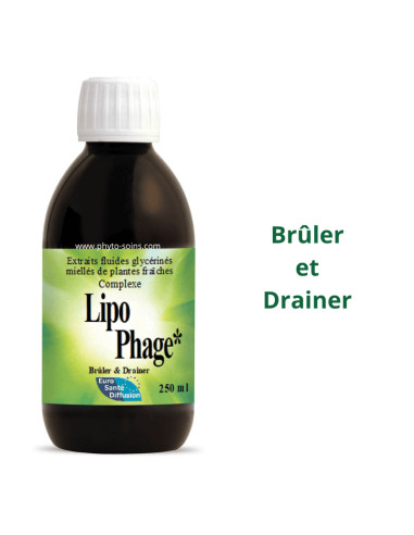 Lipophage minceur et assimilation des graisses - Phytofrance par phyto-soins.com