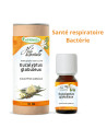 Huile essentielle d'Eucalyptus Globuleux BIO, pure et naturelle Phytofrance par phyto-soins.com