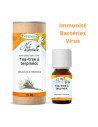 Huile essentielle de Tea tree BIO (arbre à thé), pure et naturelle - Phytofrance par phyto-soins.com