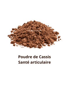 Sachet de poudre de feuille de Cassis BIO 100g - Phytofrance par phyto-soins.com