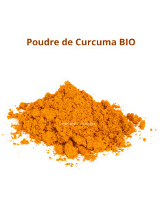 Sachet de Curcuma BIO en poudre (Curcuma longa) - Phytofrance par phyto-soins.com