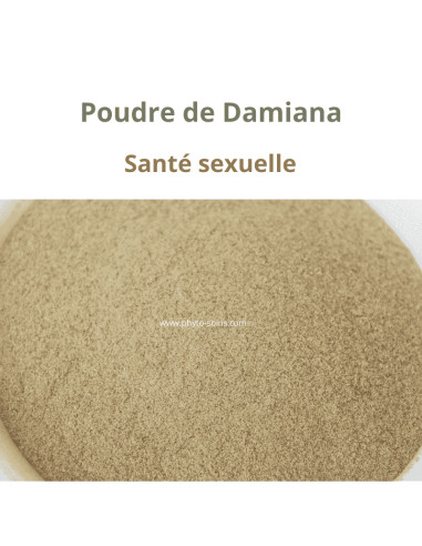 Poudre de feuille de Damiana - Phytofrance