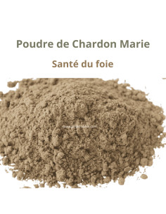Poudre de Chardon marie (Carduus marianus) - Phytofrance